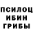 Галлюциногенные грибы мицелий N. Ortiz