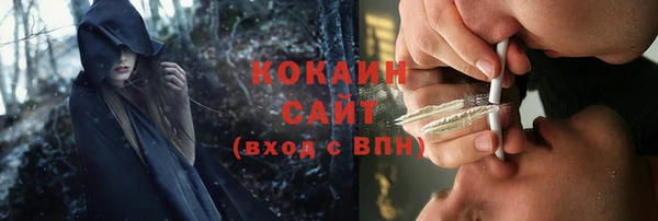 a pvp Пересвет